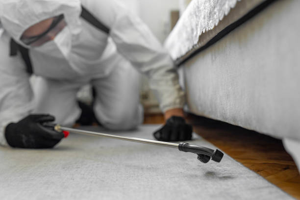 Professional Mosquito Control technician working in Bouse, AZ