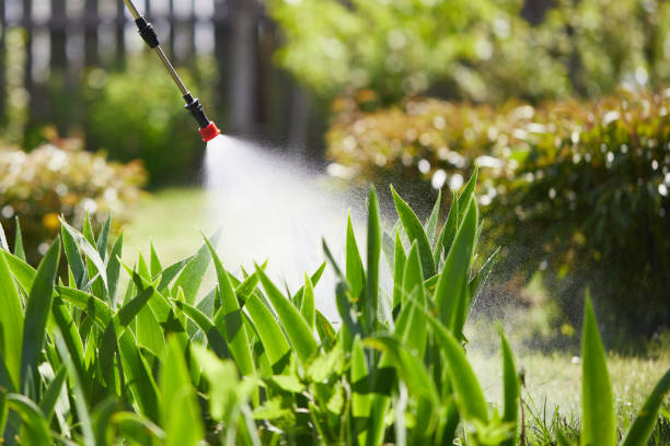 24/7 Emergency Mosquito Control experts in Bouse, AZ